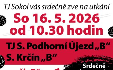 Muži doma